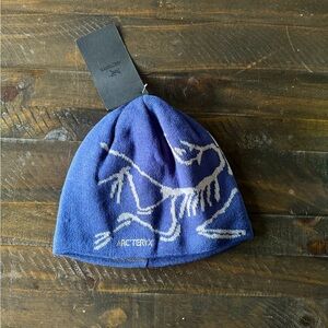 Arc’teryx bird head toque